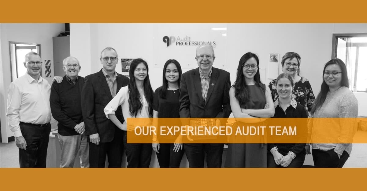 Audit Professionals