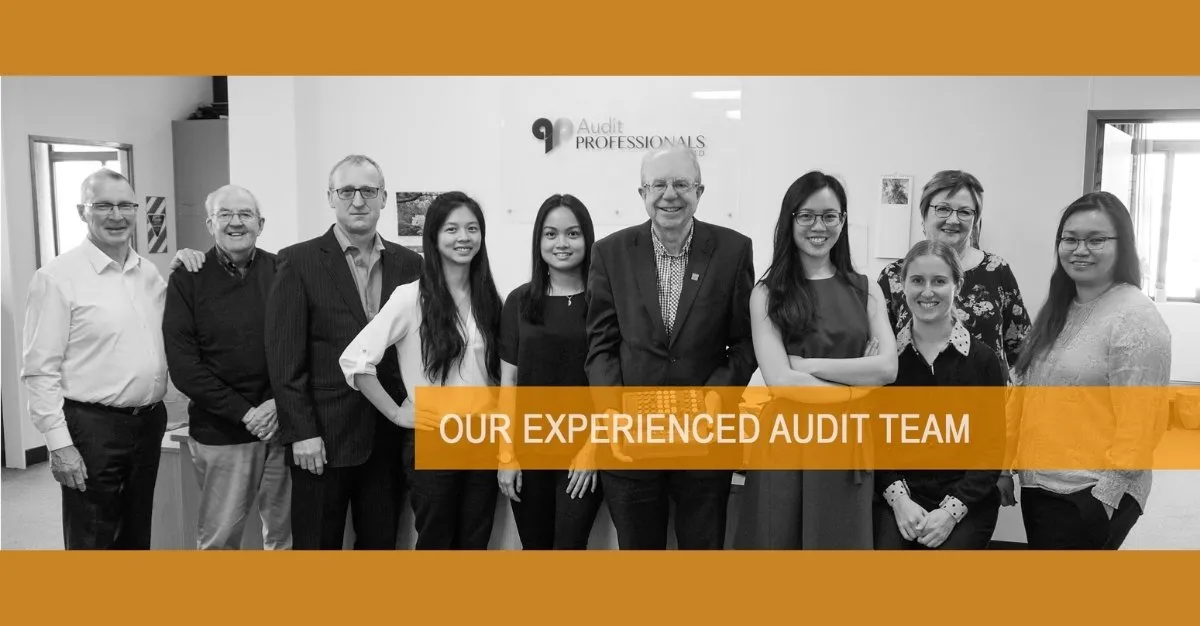 Audit Professionals — Accountants in Dunedin