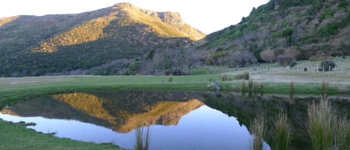 Hinewai Reserve — Museums in Akaroa