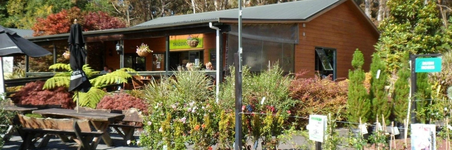 Shadehouse Cafe — Café in Rotorua