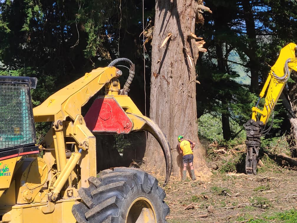 Wood 'n' Tree — Arborists in Rolleston