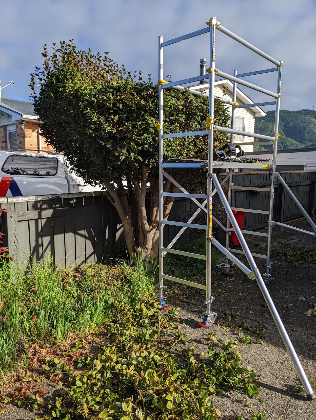 Tidy Bees Home & Garden Services — Landscaping Services in Lower Hutt