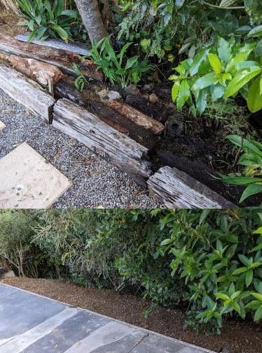 Tidy Bees Home & Garden Services