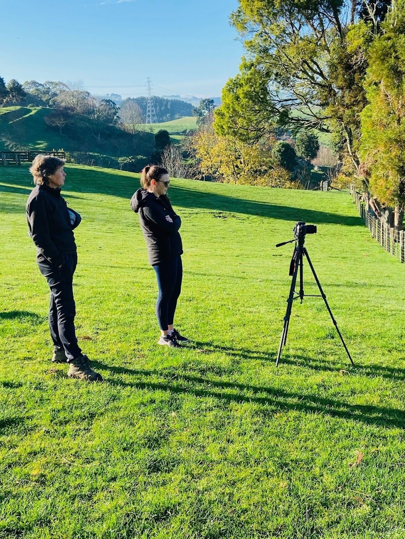 Thrive Media — Marketing Services in Feilding