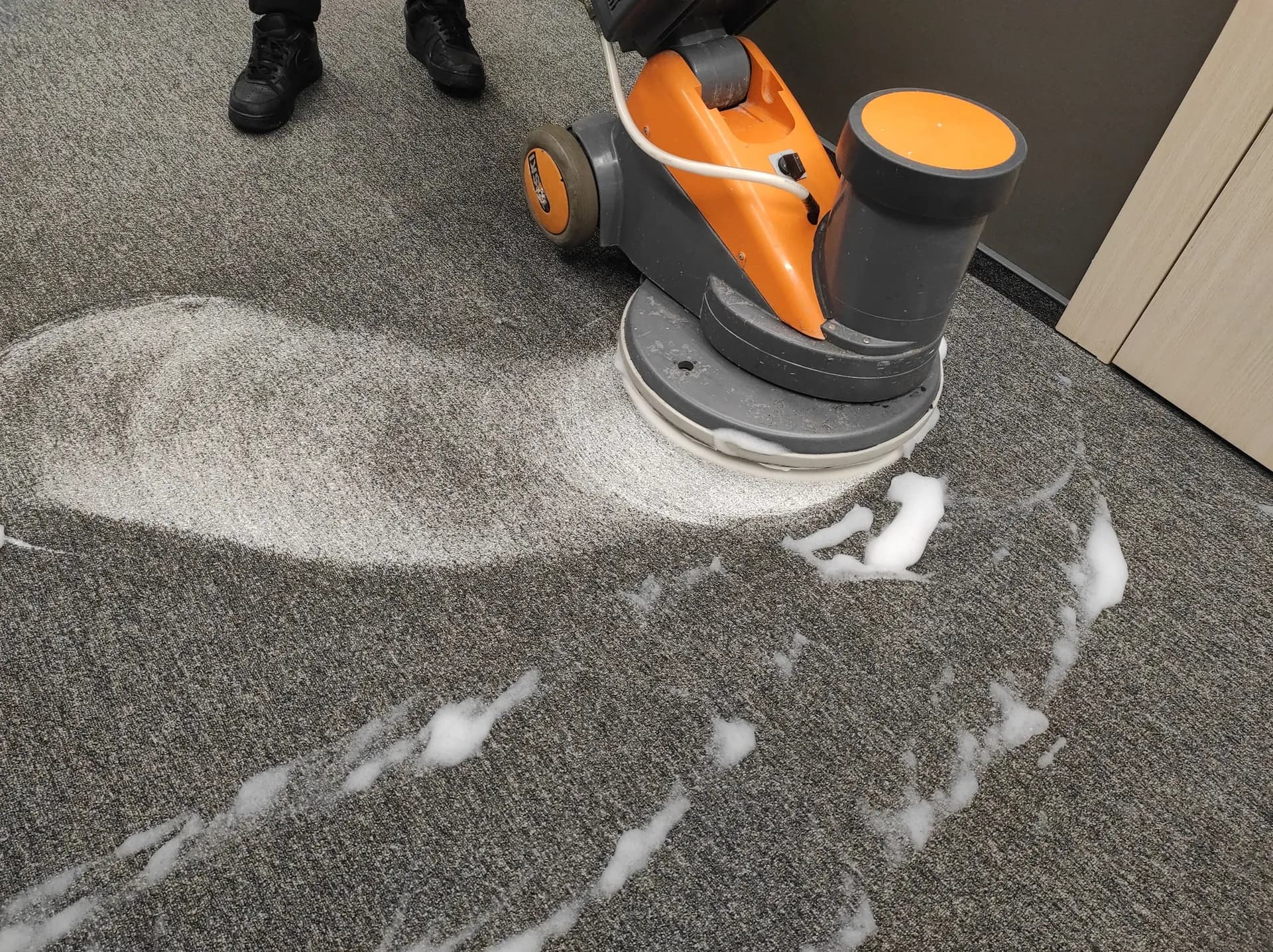 Carpet Care Solutions — Cleaning Services in Christchurch