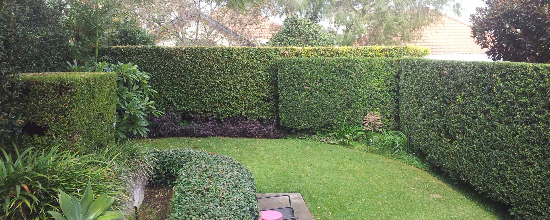 Taylor’d Gardens — Cleaning Services in Queenstown
