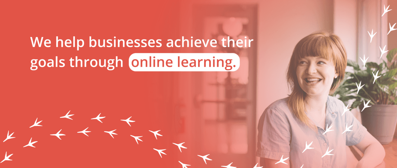 Pukeko Learning Solutions — Education & Training in Auckland