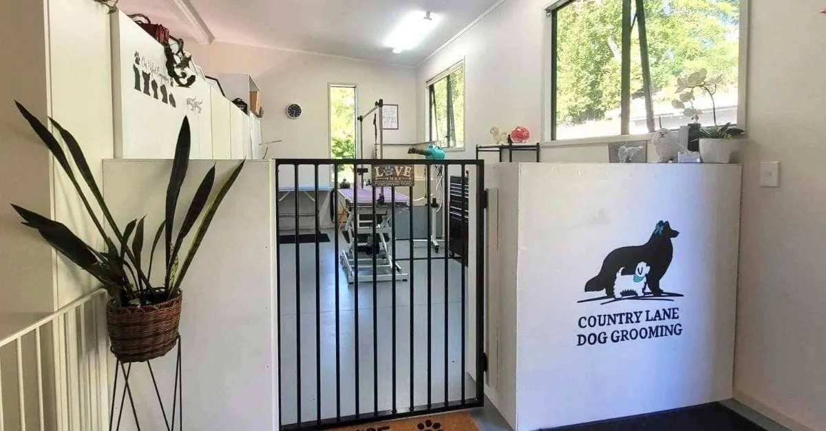 Country Lane Dog Grooming — Dog Groomers in Gisborne