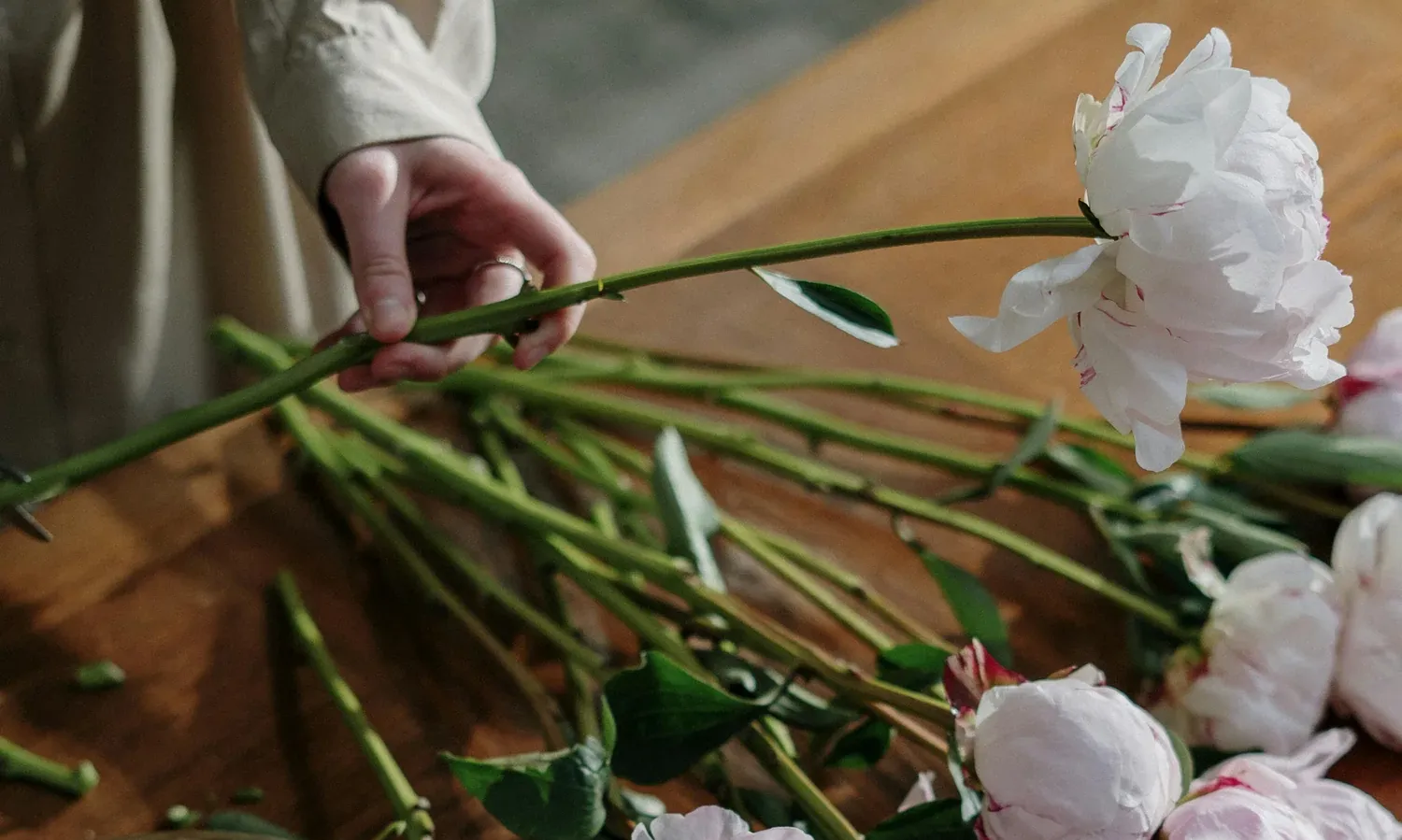Great Bunch Flowers — Florists in Wellington