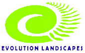 Evolution Landscapes