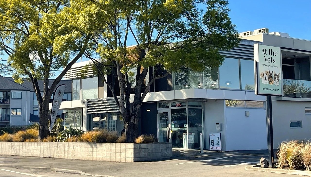 At The Vets — Vets in Christchurch