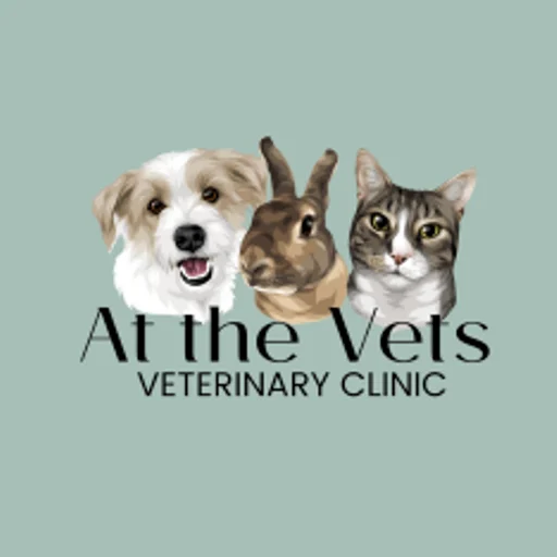 At The Vets