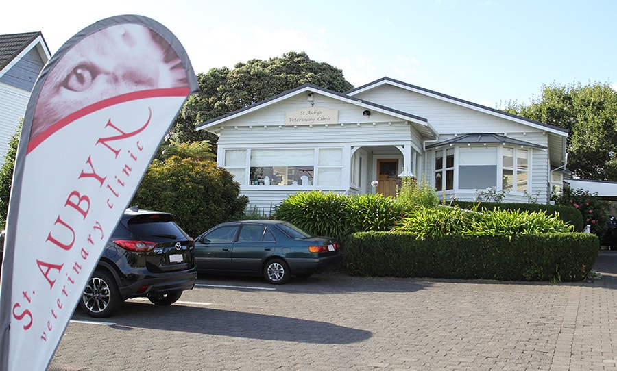St Aubyn Veterinary Clinic — Vets in New Plymouth