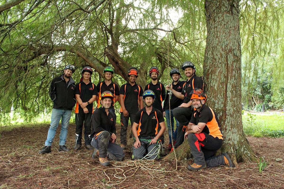 Marc Doyle Treework — Arborists in Hamilton