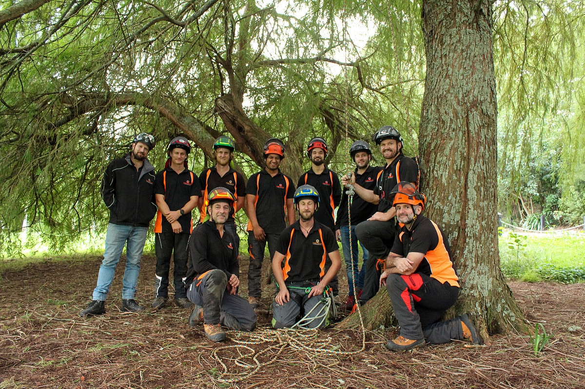 Marc Doyle Treework — Arborists in Hamilton