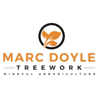 Marc Doyle Treework