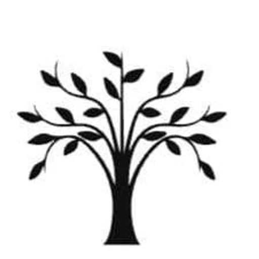 NZ Lifestyle Group