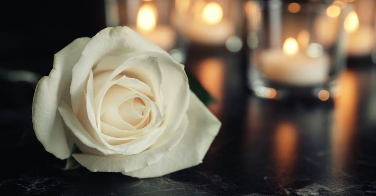 Bay Cremation Care