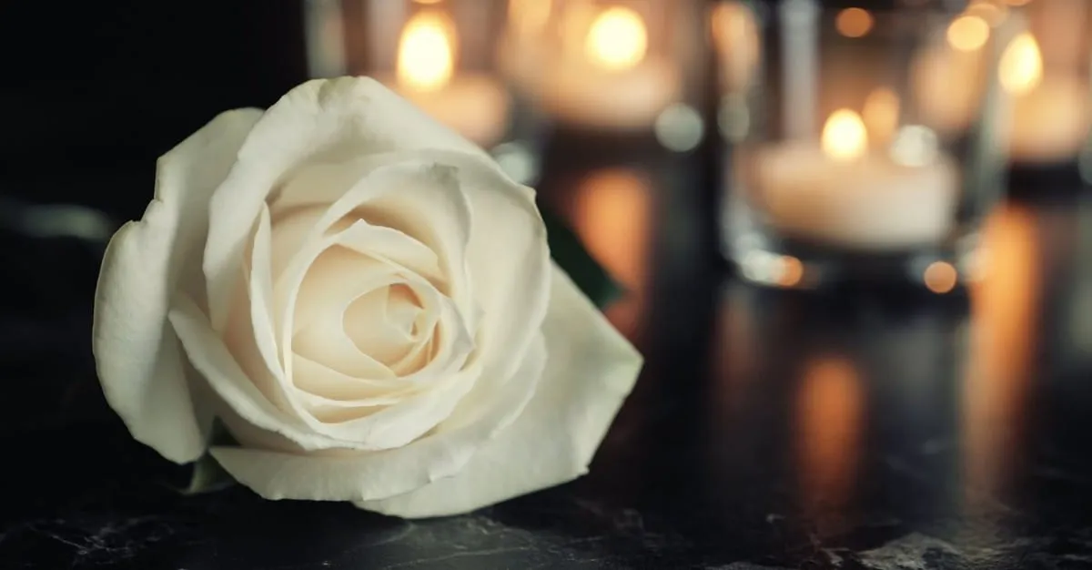 Bay Cremation Care — Funeral Services in Tauranga