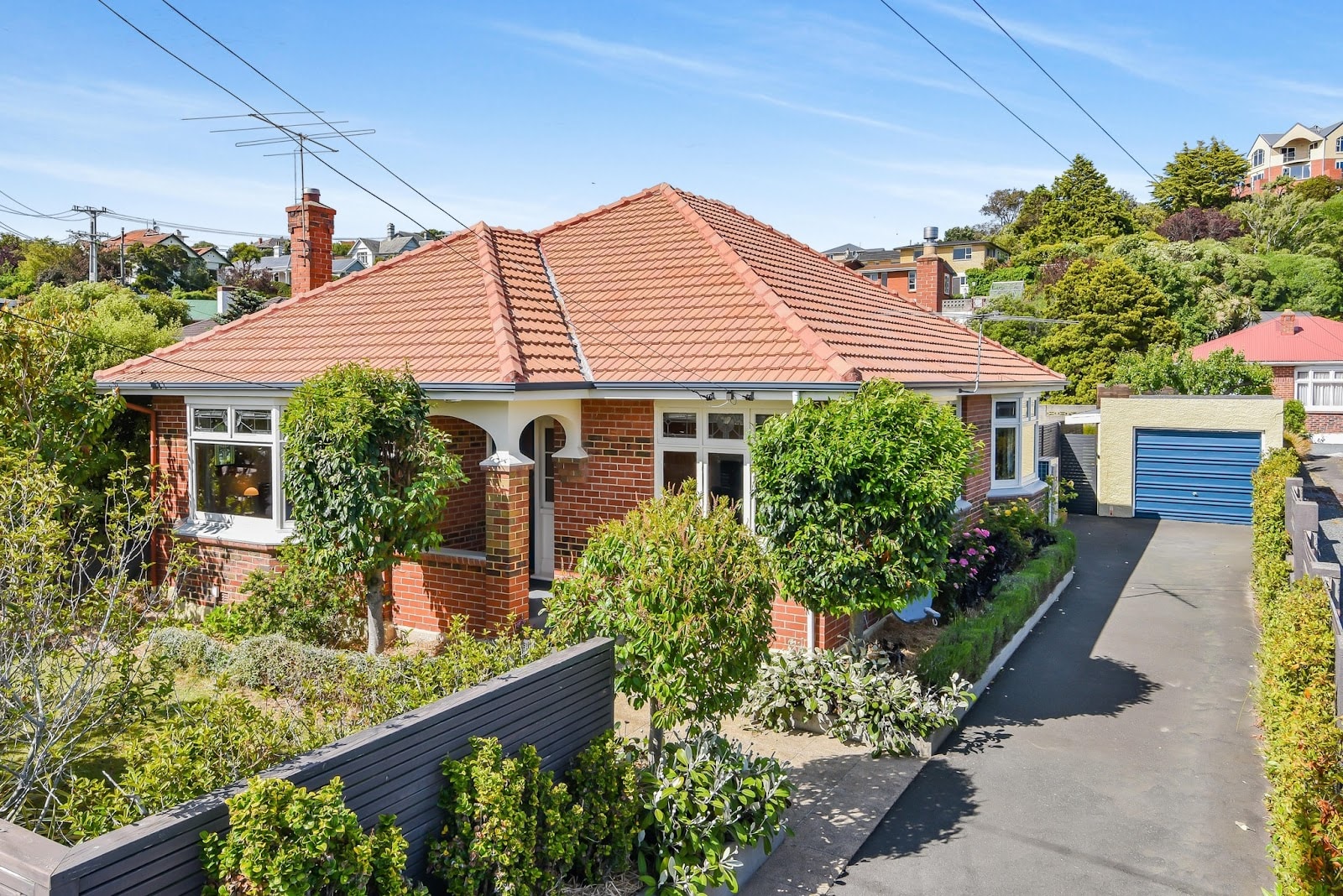 Madelon White - Ray White — Real Estate Agents in Dunedin