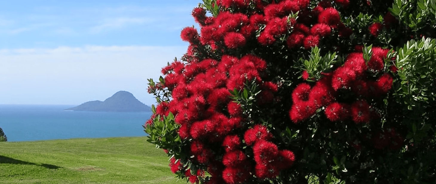 Origin Medical Recruitment — HR & Recruitment Services in Whakatāne