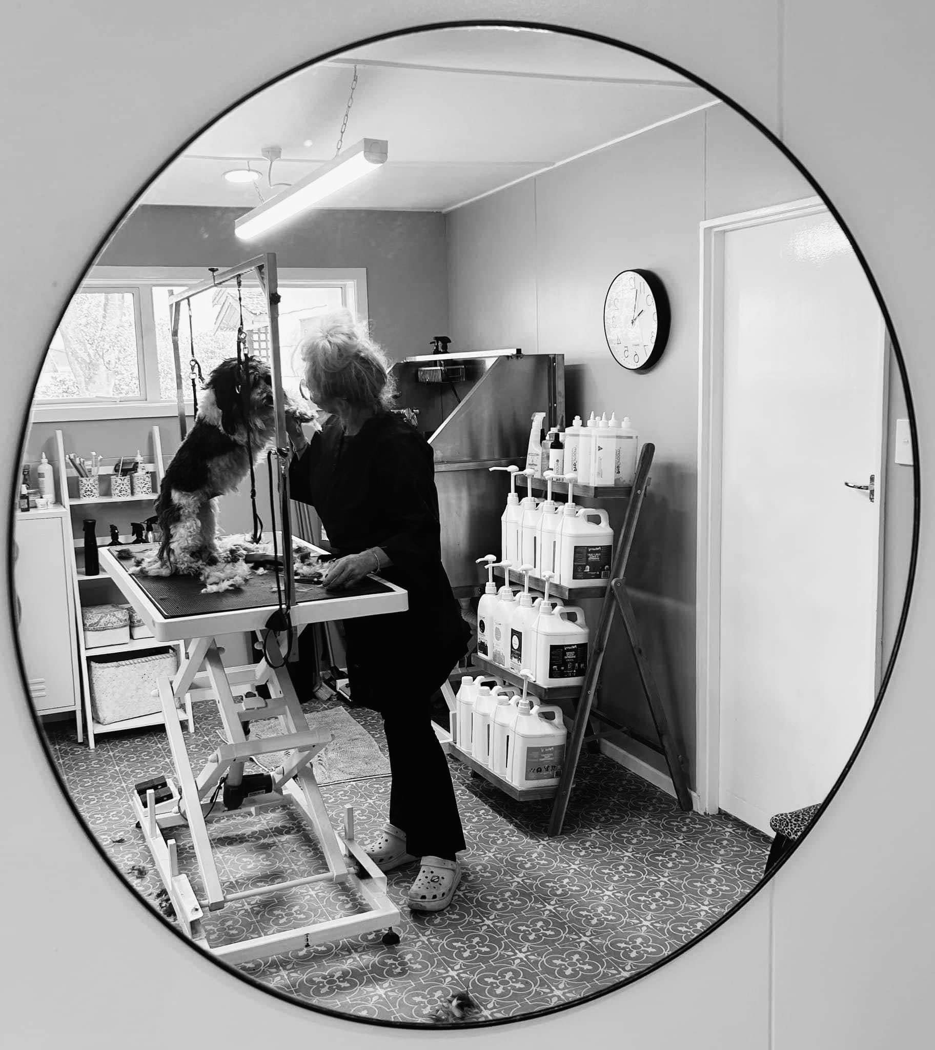 The Groom Room Gisborne — Dog Groomers in Gisborne