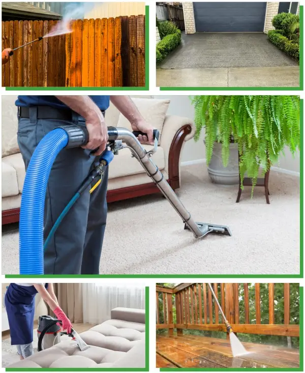 Classic Cleaners — Cleaning Services in Auckland