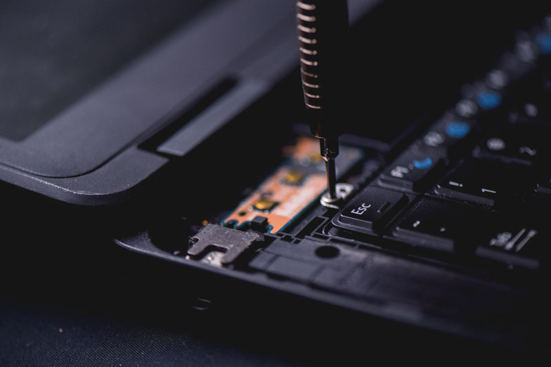 Daemon — IT Services in Dunedin