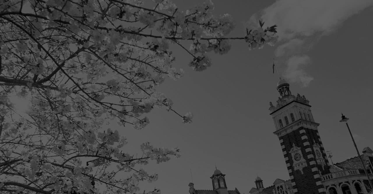 Bligh Law — Legal Services in Dunedin