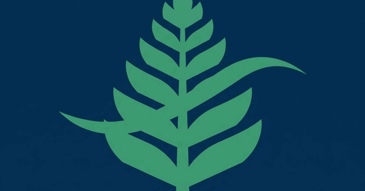 Eco Carpet Cleaner — Cleaning Services in Wellington