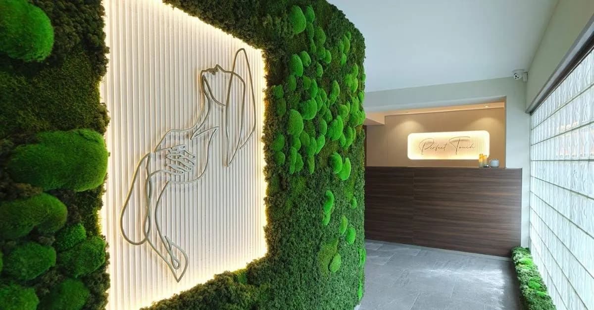 Perfect Touch — Massage Therapists in Eden Terrace