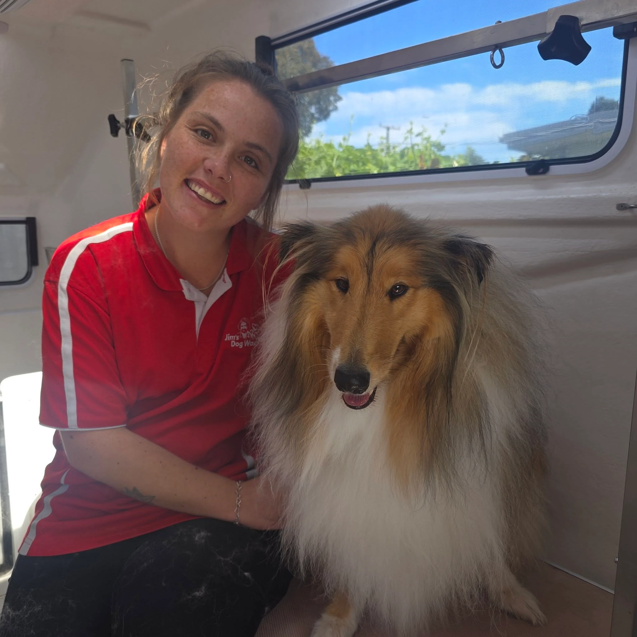 Jim's Dog Wash Rolleston — Dog Groomers in Rolleston