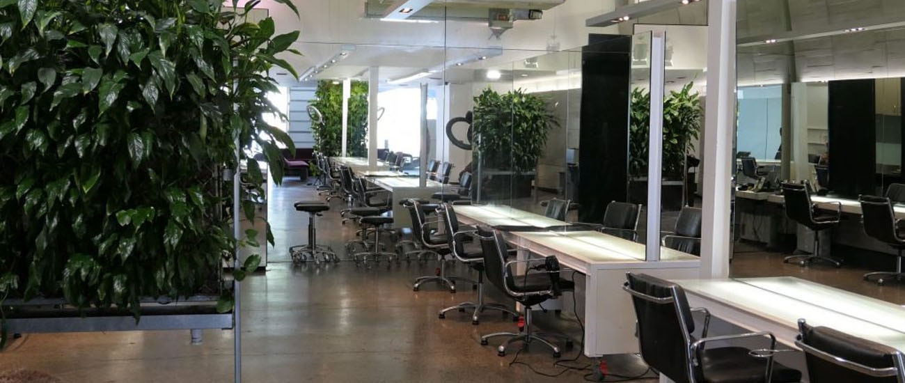 Stephen Marr — Hair Salons in Auckland