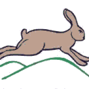 Hare Hill Horse Treks