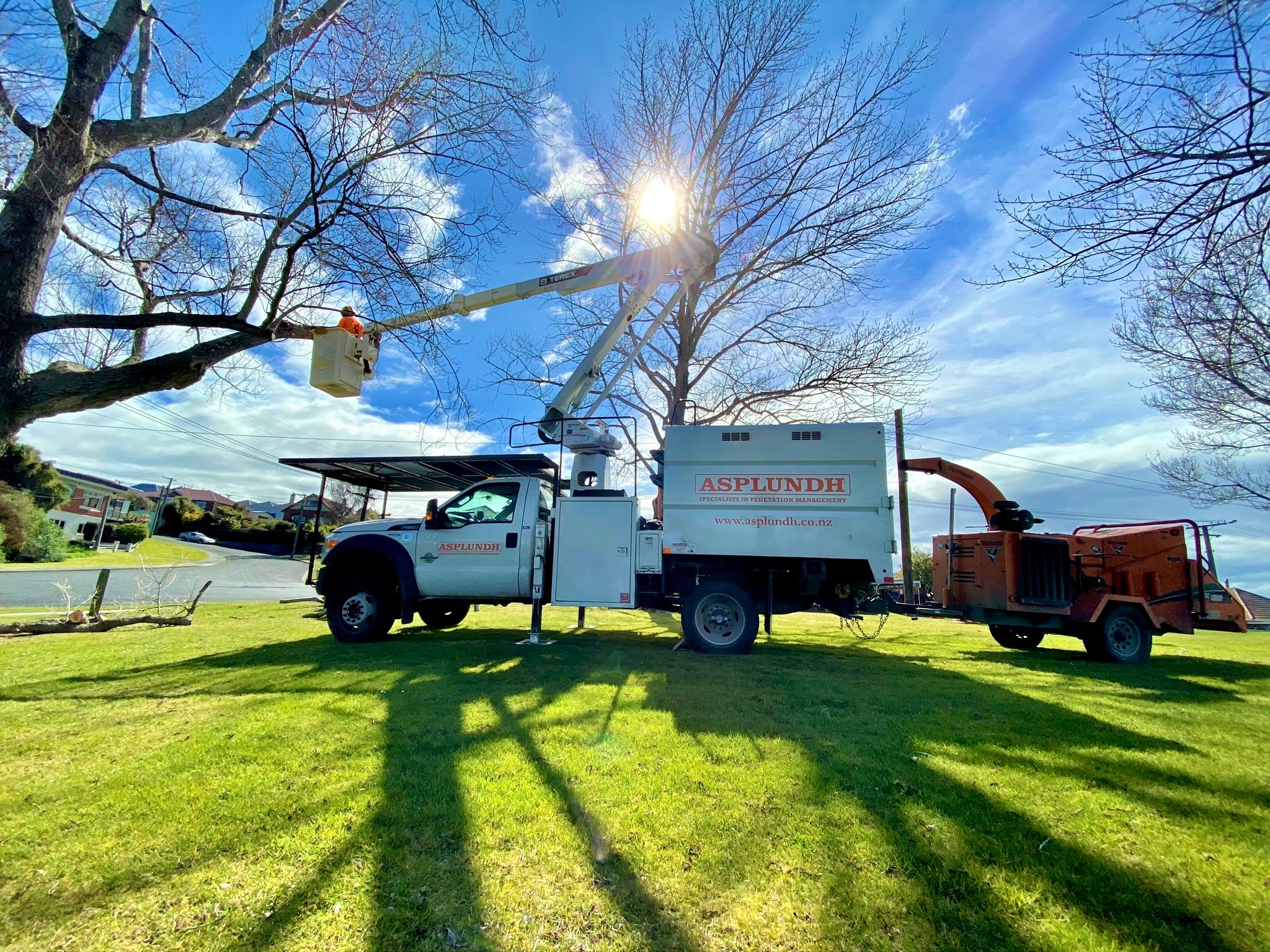 Asplundh NZ — Arborists in New Plymouth