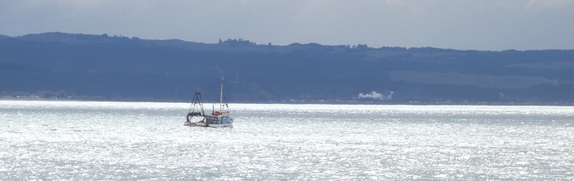 The Boardwalk — Restaurants in Napier