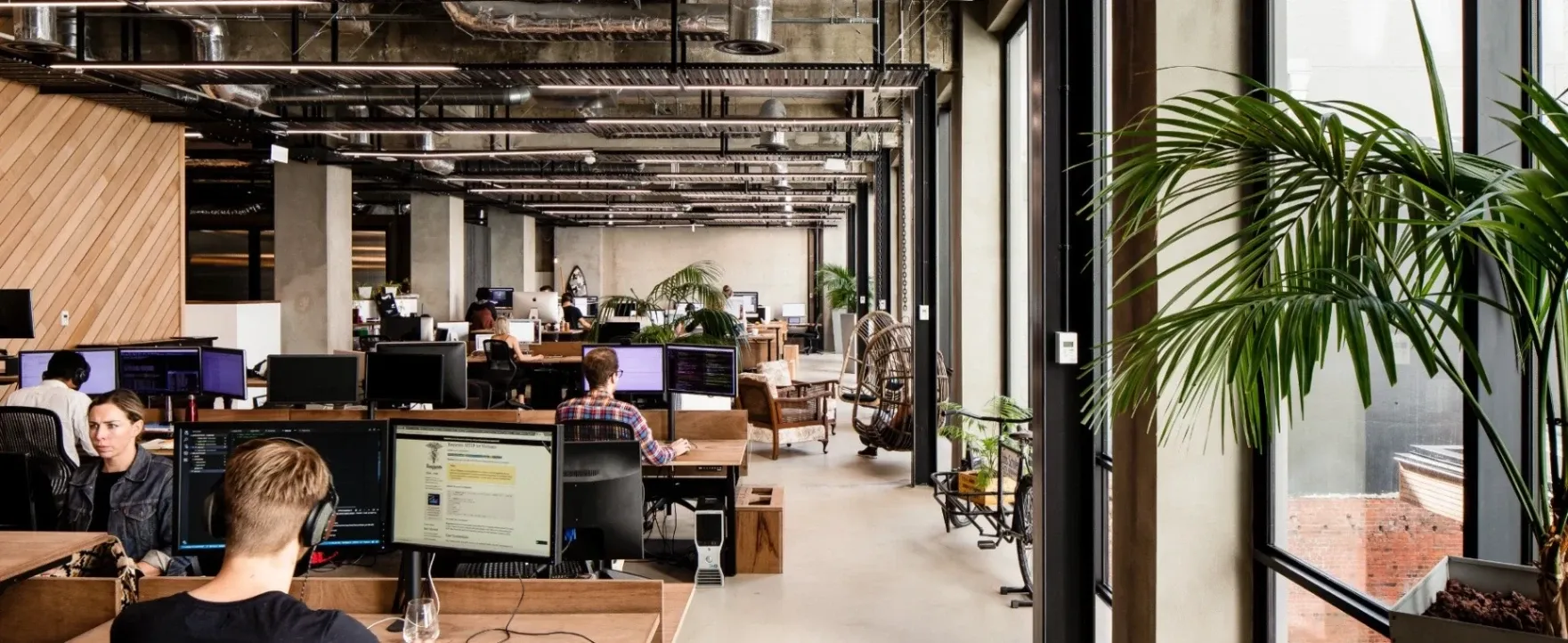 Octave — Digital Marketing Agencies in Wellington