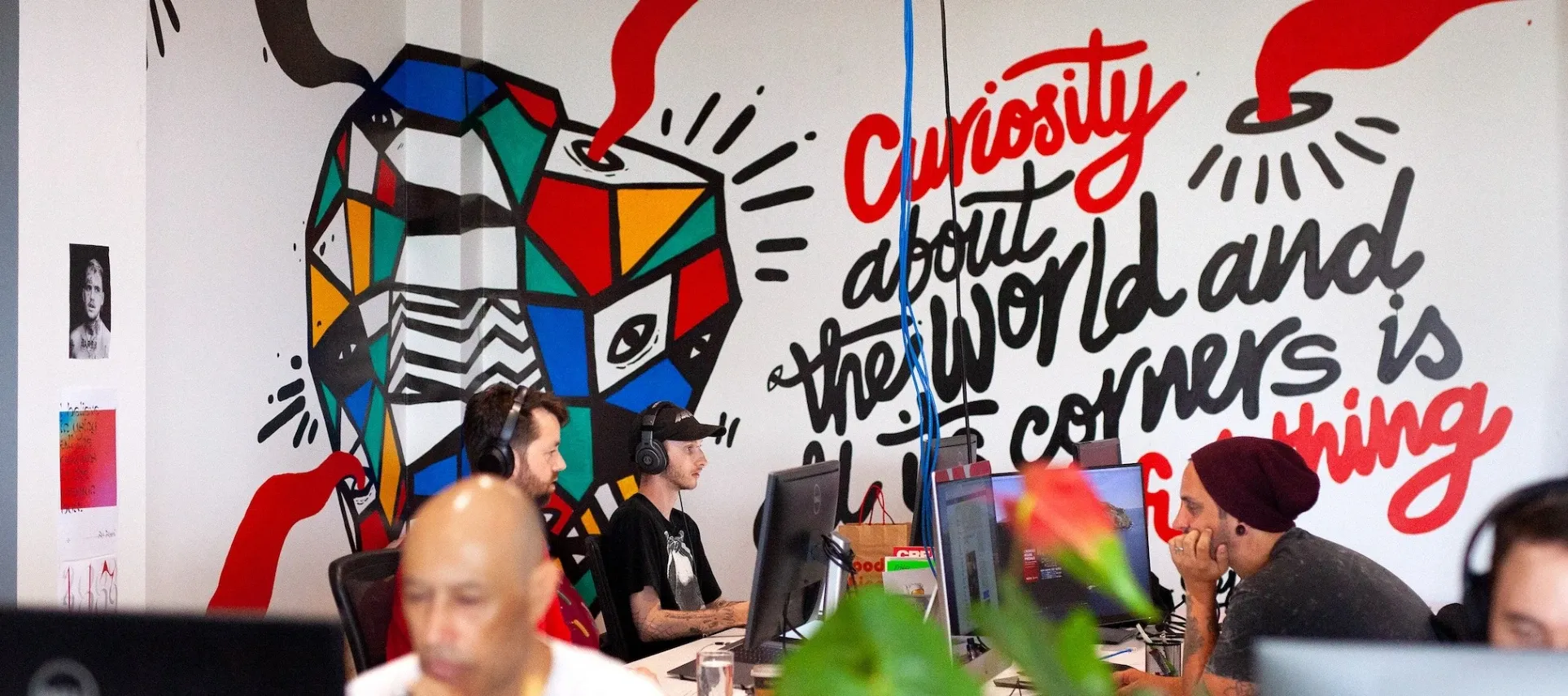 YoungShand — Creative Agencies in Ponsonby