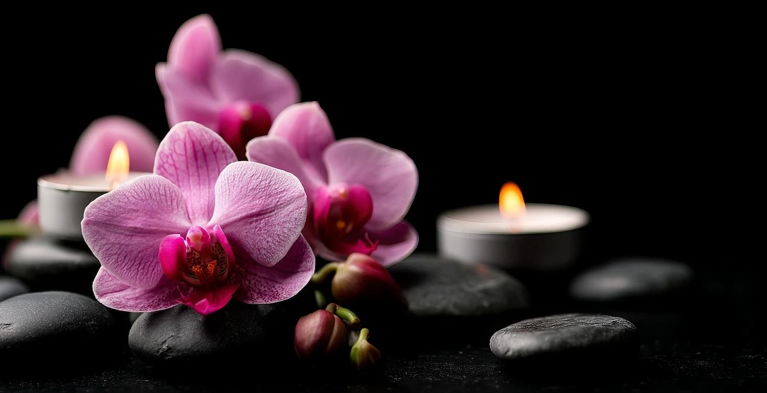 Bai Pho Thai Massage & Spa — Beauty & Wellness in Auckland