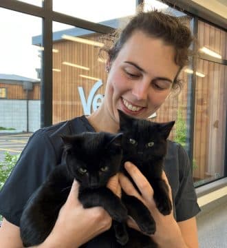 Vetlife St Kilda — Vets in Dunedin