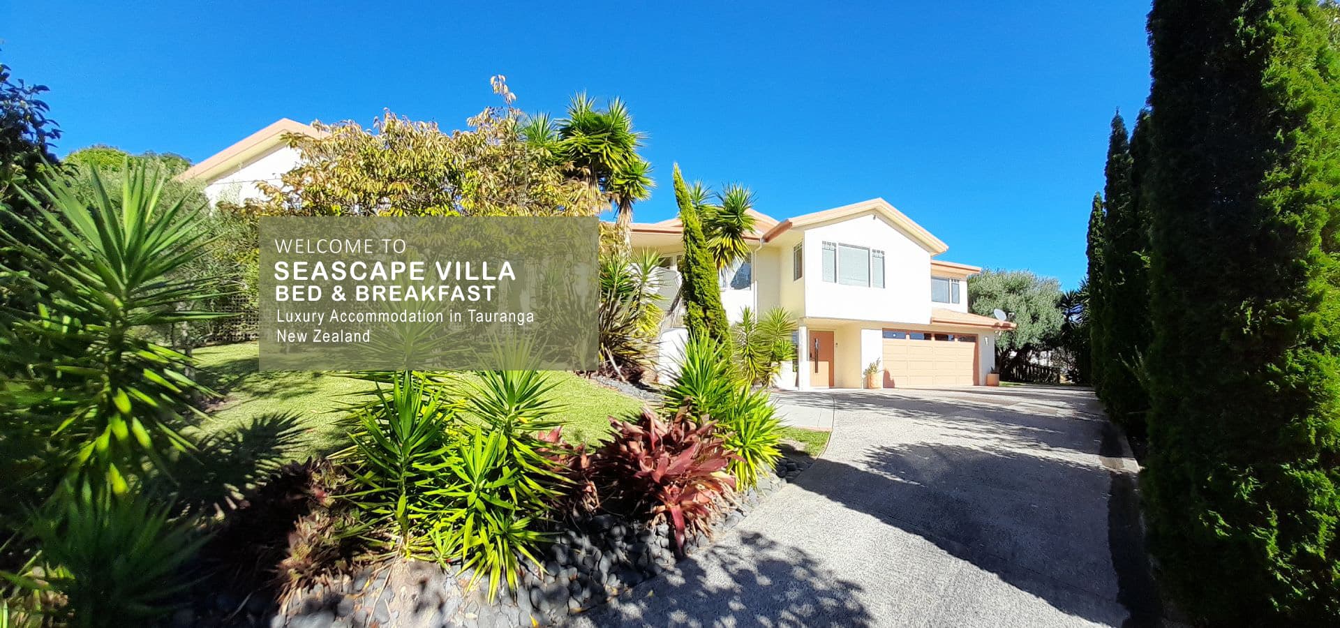 Seascape Villa Bed & Breakfast — Accommodation in Tauranga