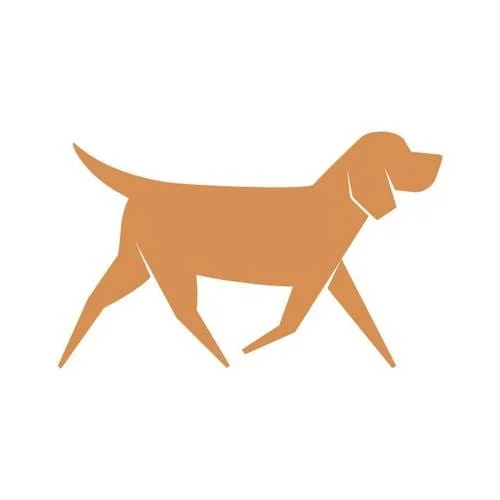Everything Dog