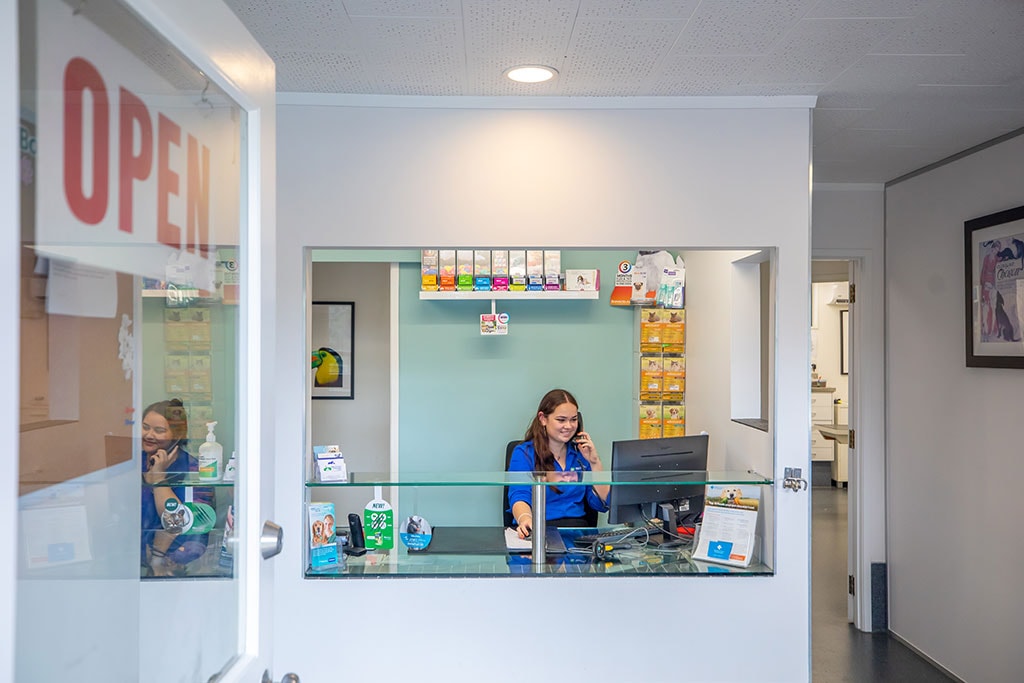 Abbotts Way Veterinary Clinic — Vets in Auckland