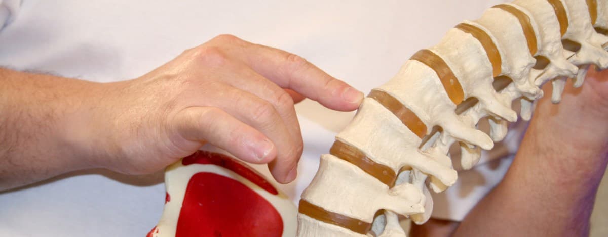 The Chiropractors Waikanae — Chiropractors in Waikanae