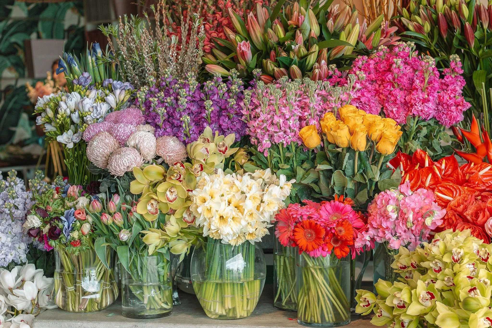 Flowers after Hours — Florists in Auckland