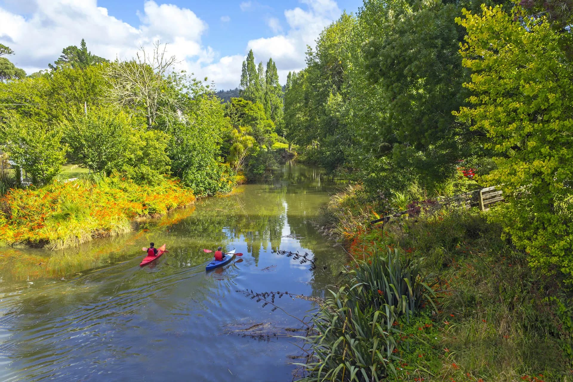 Puhoi River Kayaks — Travel Tourism Services in Puhoi