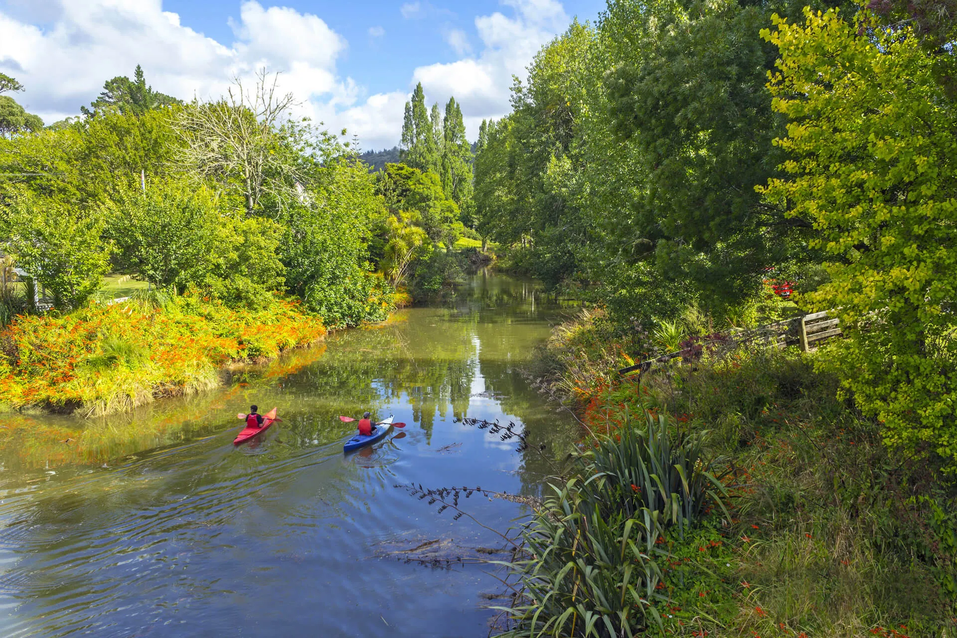 Puhoi River Kayaks — Travel & Tourism in Puhoi