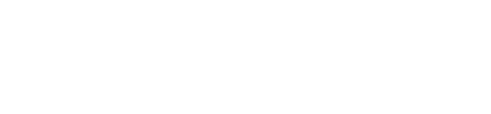 Pro Decorators