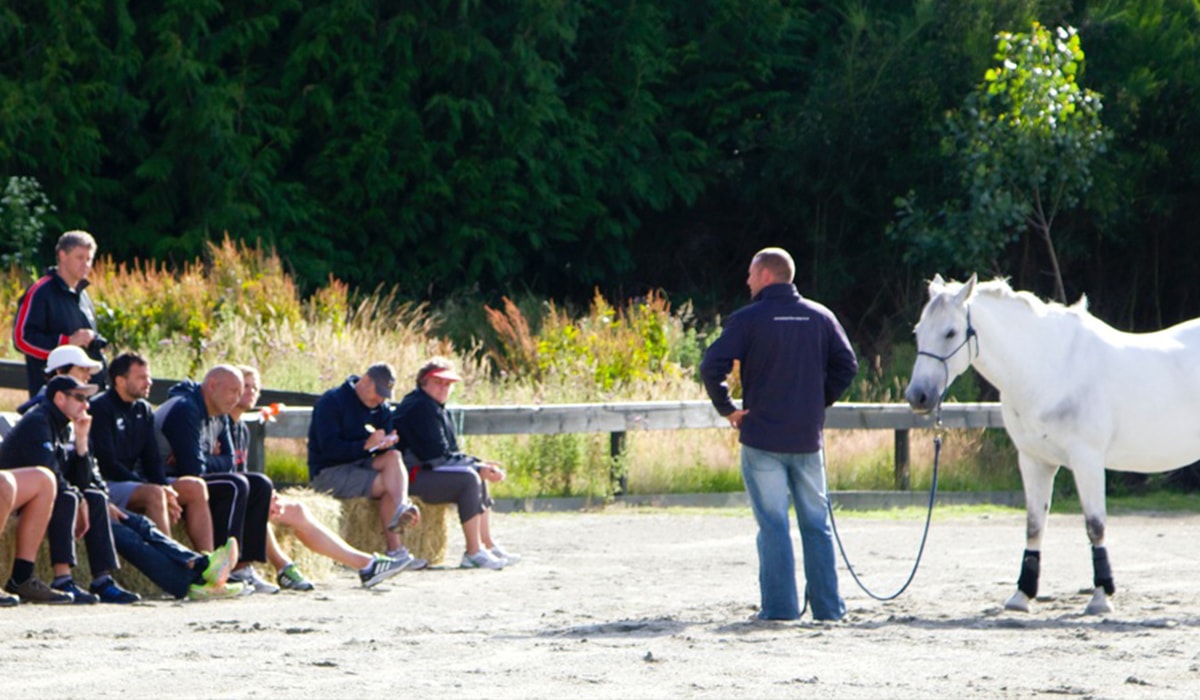 Lead The Way — Education & Training in Manakau