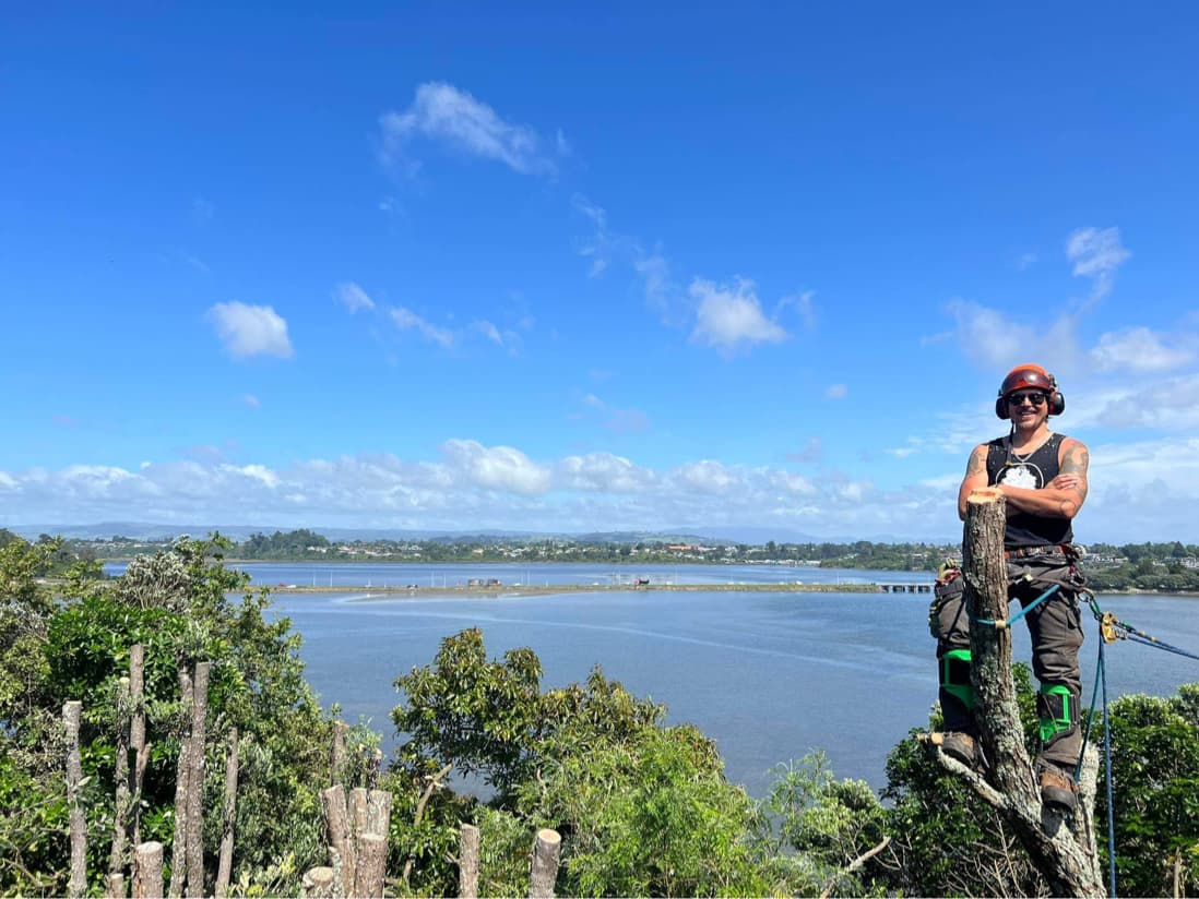 Arborcore Tree Services — Arborist Services in Tauranga